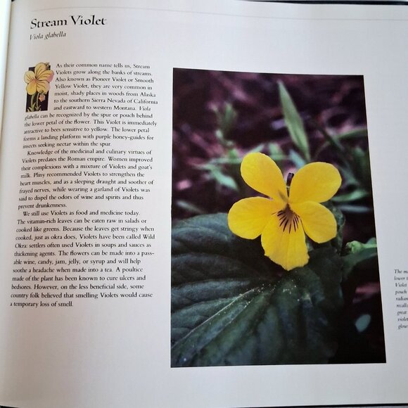 Wildflowers A Collection of U.S. Commemorative Stamps Book - Picture 8 of 10